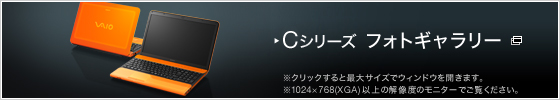 C�V���[�Y �t�H�g�M�������[