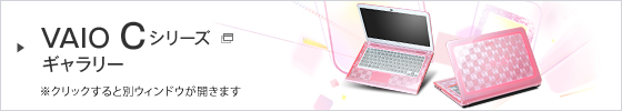 VAIO C�V���[�Y�M�������[