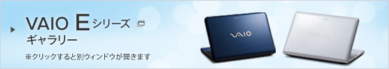VAIO E�V���[�Y�M�������[