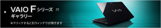 VAIO F�V���[�Y�M�������[
