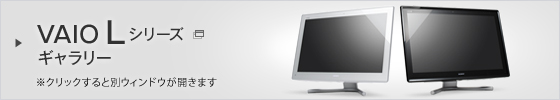 VAIO L�V���[�Y�M�������[