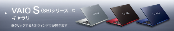 VAIO S(SB)�V���[�Y�M�������[