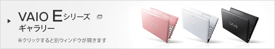 VAIO E�V���[�Y�M�������[