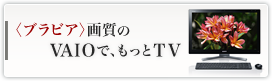 �q�u���r�A�r�掿��VAIO�ŁA������TV
