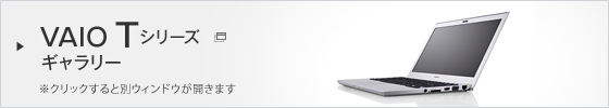VAIO T�V���[�Y�M�������[