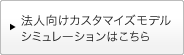 �@�l�����J�X�^�}�C�Y���f���V�~�����[�V�����͂�����