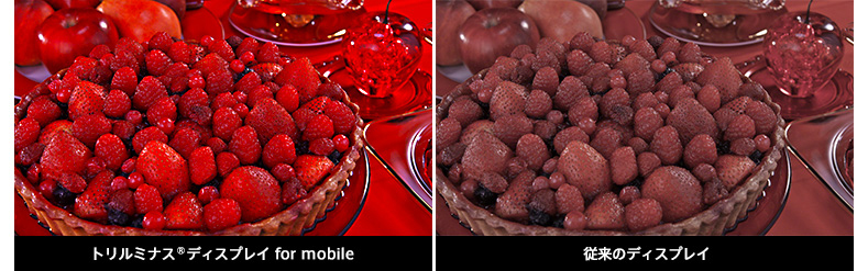 �g�����~�i�X&reg; for mobile