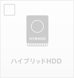 �n�C�u���b�hHDD