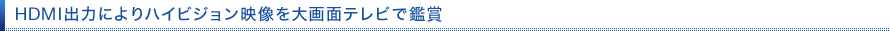 HDMI�o�͂ɂ��n�C�r�W�����f������ʃe���r�Ŋӏ�