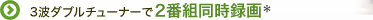3�g�_�u���`���[�i�[��2�ԑg�����^��*