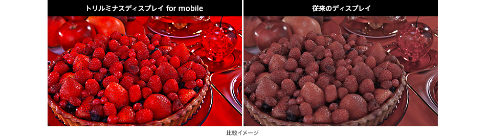 �L�F��^���P�x