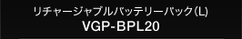 ���`���[�W���u���o�b�e���[�p�b�N�iL�j
VGP-BPL20