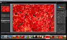 Adobe Photoshop Lightroom 3