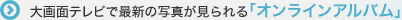 ���ʃe���r�ōŐV�̎ʐ^��������u�I�����C���A���o���v