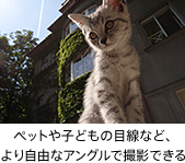 �y�b�g��q�ǂ��̖ڐ��ȂǁA��莩�R�ȃA���O���ŎB�e�ł���