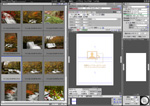 �uEpson Print Plug-In for Photoshop�v ��ʎʐ^