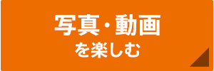 �ʐ^�E������y����