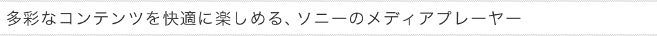 ���ʂȃR���e���c�����K�Ɋy���߂�A�\�j�[�̃��f�B�A�v���[���[