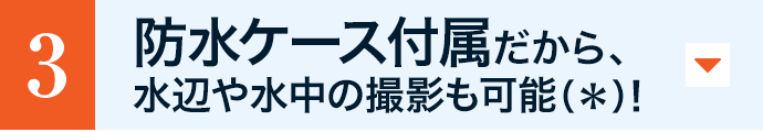 �h���P�[�X�t��������A���ӂ␅���̎B�e���\�i���j�I