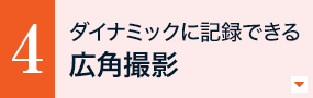�_�C�i�~�b�N�ɋL�^�ł���L�p�B�e