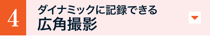 �_�C�i�~�b�N�ɋL�^�ł���L�p�B�e