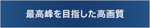 �ō����ڎw�������掿