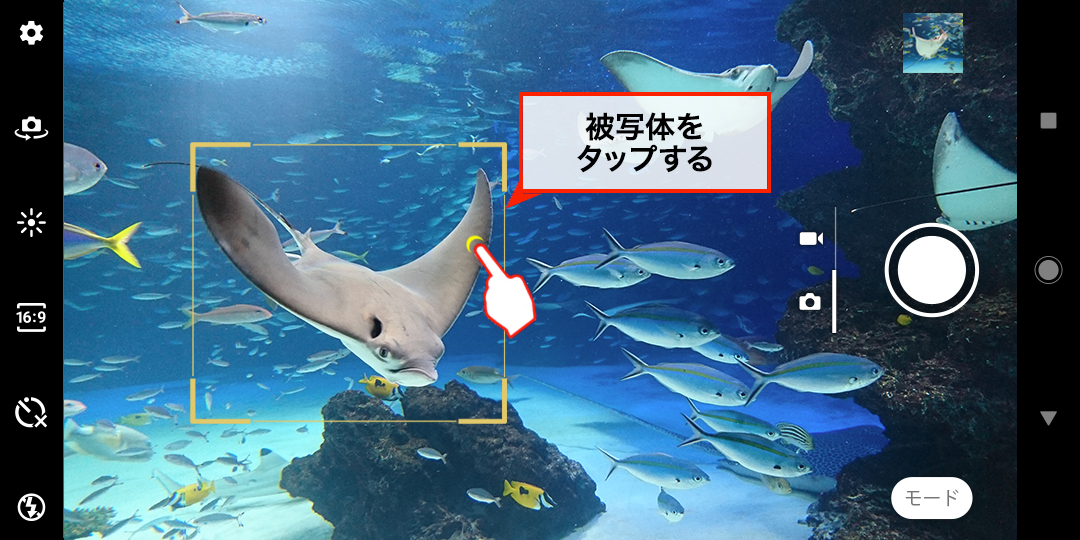 被写体をタップ