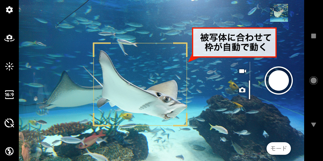 枠が自働で動く
