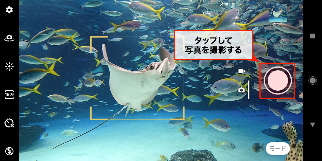 撮影する