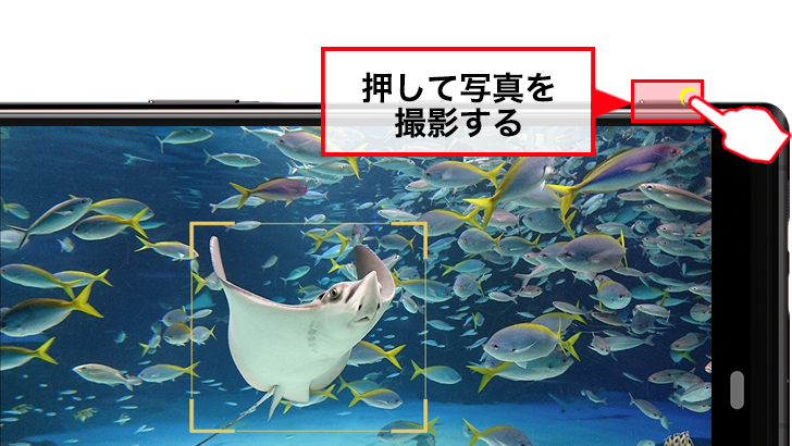 押して撮影する