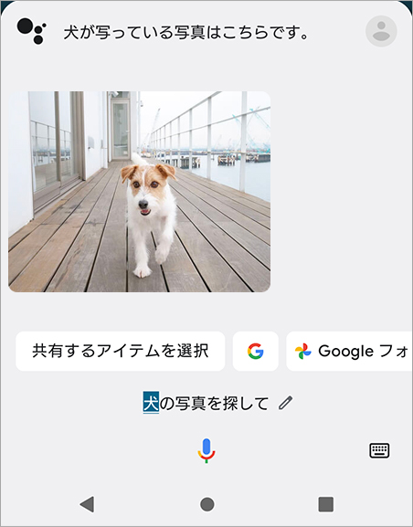 Google アシスタントと連携