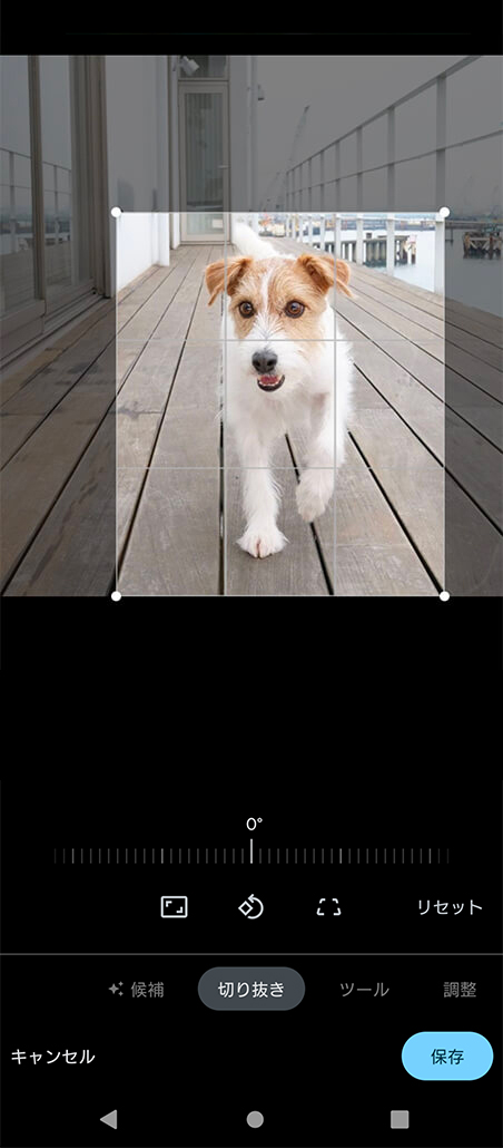 トリミングや回転ができます