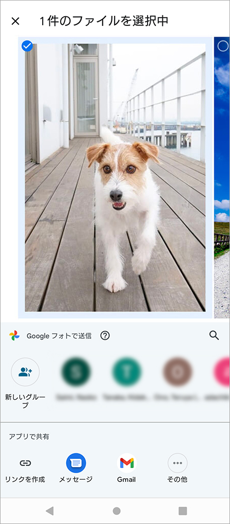 写真を共有できます
