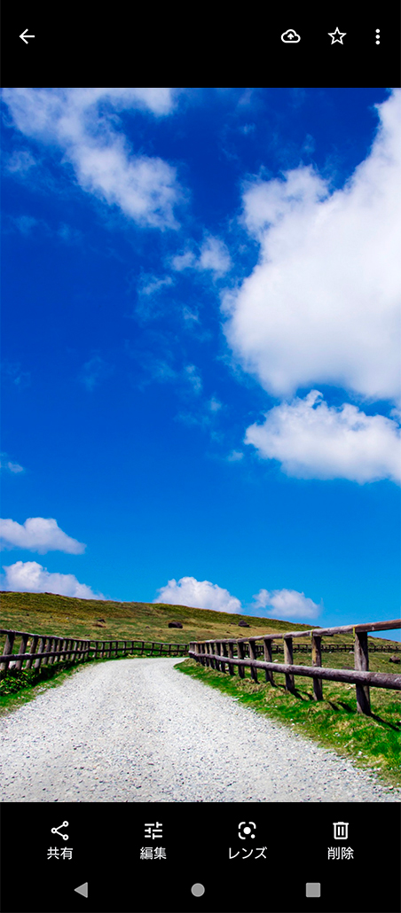 写真が表示される